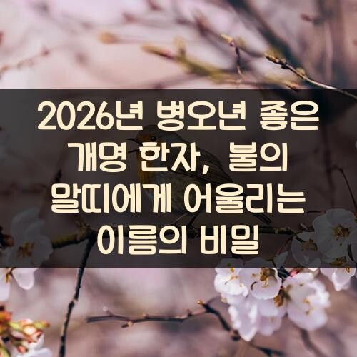 2026년 병오년 좋은 개명 한자, 불의 말띠에게 어울리는 이름의 비밀