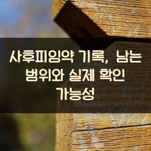 사후피임약 기록, 남는 범위와 실제 확인 가능성