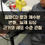 알파CD 효과 체수분 변화, 실제 임상 근거와 세포 수준 관찰