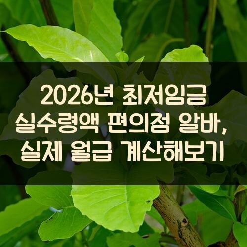 2026년 최저임금 실수령액 편의점 알바, 실제 월급 계산해보기