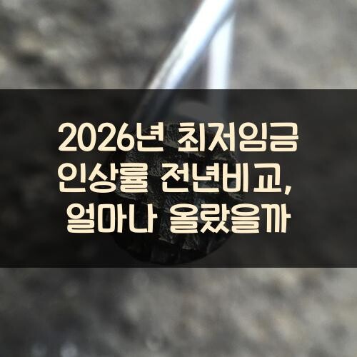 2026년 최저임금 인상률 전년비교, 얼마나 올랐을까?