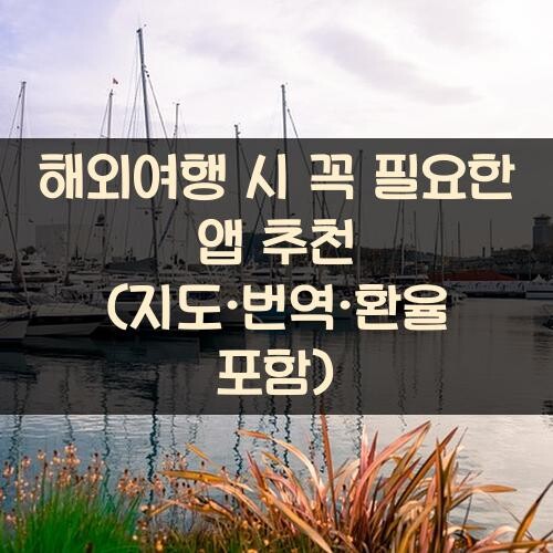해외여행 시 꼭 필요한 앱 추천 (지도·번역·환율 포함)