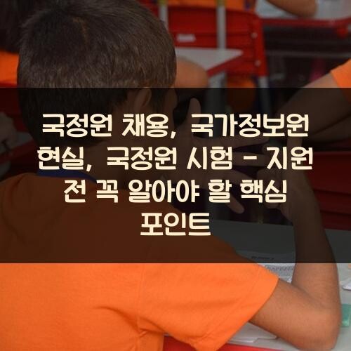 국정원 채용, 국가정보원 현실, 국정원 시험 - 지원 전 꼭 알아야 할 핵심 포인트