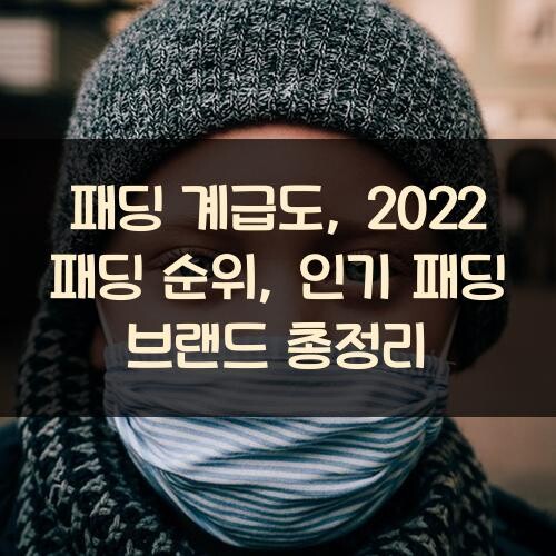 패딩 계급도, 2022 패딩 순위, 인기 패딩 브랜드 총정리