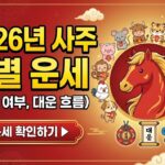 2026년 사주 띠별 운세