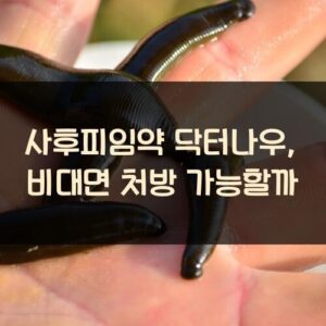 사후피임약 닥터나우, 비대면 처방 가능할까?