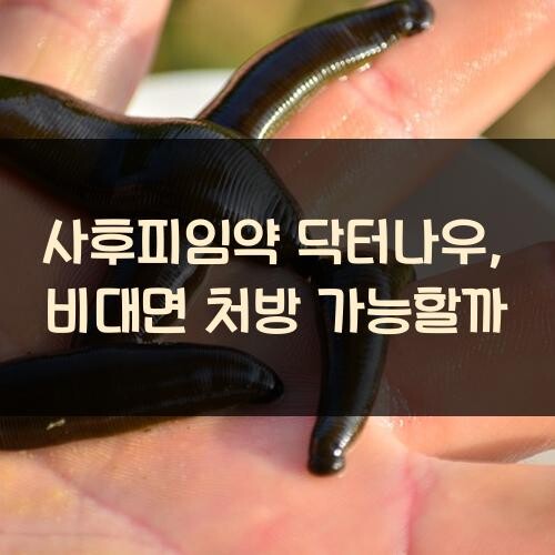 사후피임약 닥터나우, 비대면 처방 가능할까?