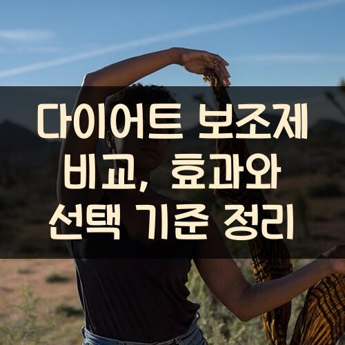 다이어트 보조제 비교, 효과와 선택 기준 정리