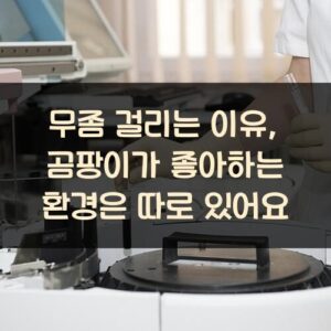 무좀 걸리는 이유, 곰팡이가 좋아하는 환경은 따로 있어요
