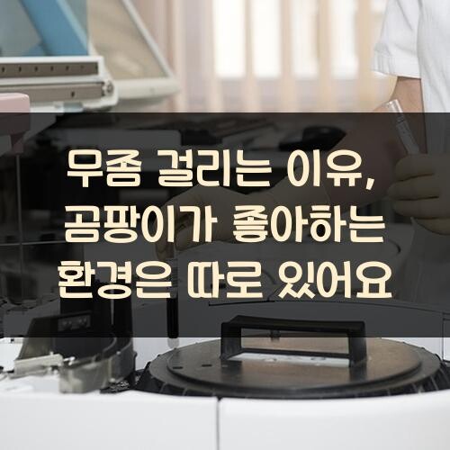 무좀 걸리는 이유, 곰팡이가 좋아하는 환경은 따로 있어요