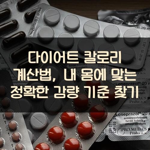 다이어트 칼로리 계산법, 내 몸에 맞는 정확한 감량 기준 찾기