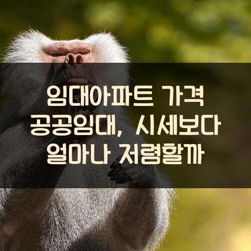 임대아파트 가격 공공임대, 시세보다 얼마나 저렴할까?