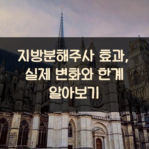 지방분해주사 효과, 실제 변화와 한계 알아보기