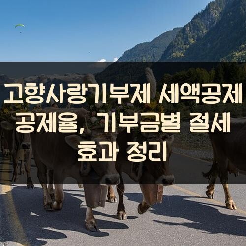 고향사랑기부제 세액공제 공제율, 기부금별 절세 효과 정리