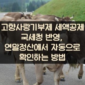 고향사랑기부제 세액공제 국세청 반영, 연말정산에서 자동으로 확인하는 방법 고향사랑기부제 세액공제 국세청 반영, 연말정산에서 자동으로 확인하는 방법