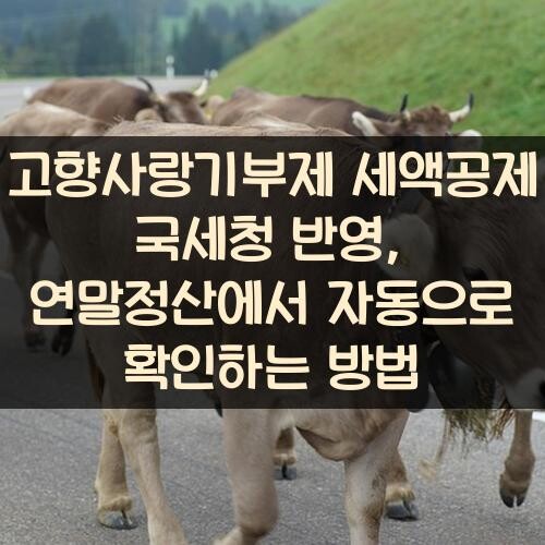 고향사랑기부제 세액공제 국세청 반영, 연말정산에서 자동으로 확인하는 방법
