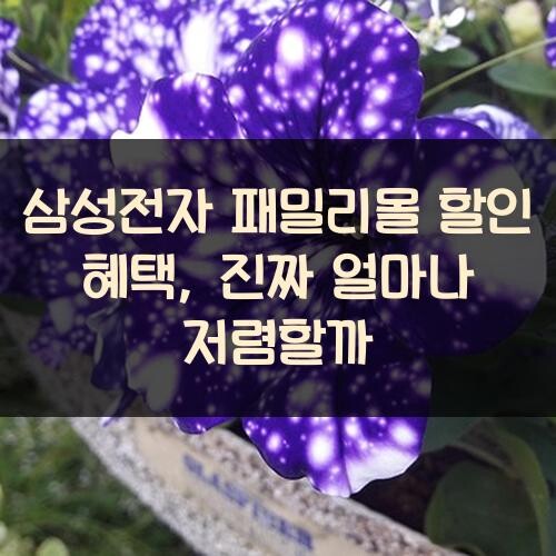 삼성전자 패밀리몰 할인 혜택, 진짜 얼마나 저렴할까?