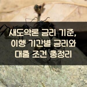 새도약론 금리 기준, 이행 기간별 금리와 대출 조건 총정리 새도약론 금리 기준, 이행 기간별 금리와 대출 조건 총정리