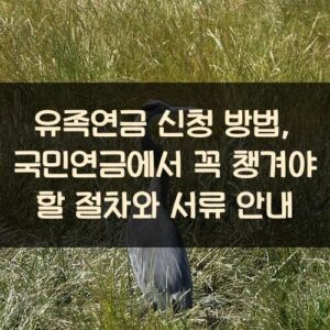 유족연금 신청 방법, 국민연금에서 꼭 챙겨야 할 절차와 서류 안내