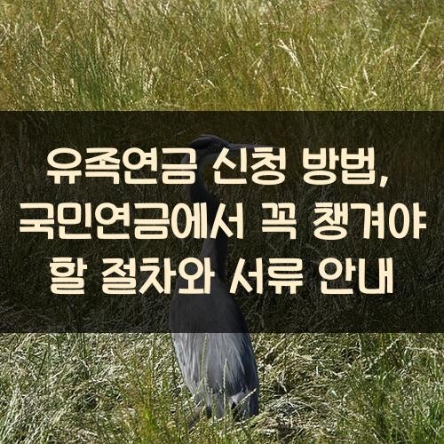 유족연금 신청 방법, 국민연금에서 꼭 챙겨야 할 절차와 서류 안내