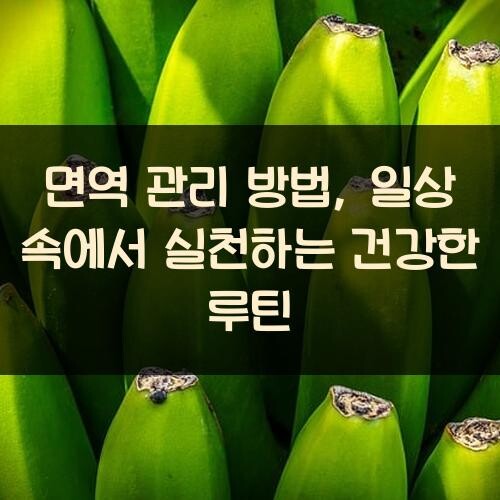 면역 관리 방법, 일상 속에서 실천하는 건강한 루틴