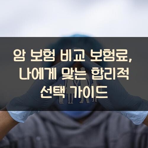 암 보험 비교 보험료, 나에게 맞는 합리적 선택 가이드