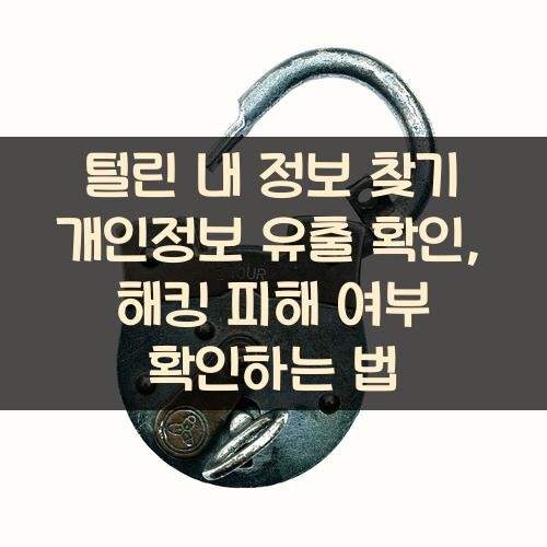 털린 내 정보 찾기 개인정보 유출 확인, 해킹 피해 여부 확인하는 법