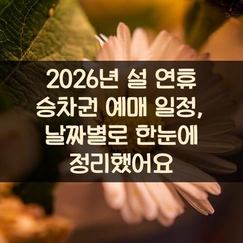 2026년 설 연휴 승차권 예매 일정, 날짜별로 한눈에 정리했어요
