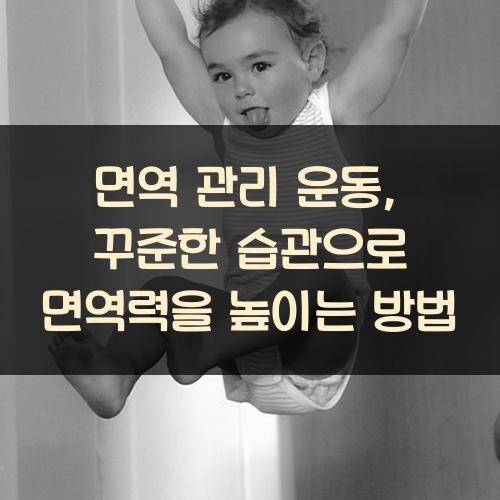 면역 관리 운동, 꾸준한 습관으로 면역력을 높이는 방법