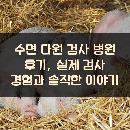 수면 다원 검사 병원 후기, 실제 검사 경험과 솔직한 이야기
