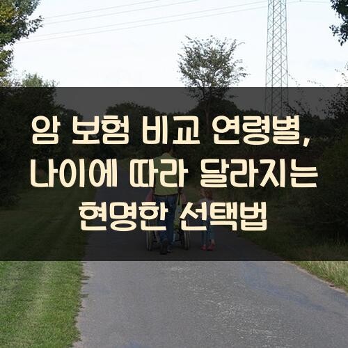 암 보험 비교 연령별, 나이에 따라 달라지는 현명한 선택법