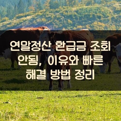 연말정산 환급금 조회 안됨, 이유와 빠른 해결 방법 정리