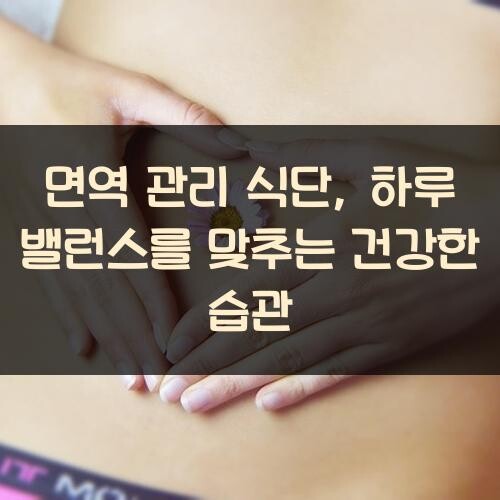 면역 관리 식단, 하루 밸런스를 맞추는 건강한 습관