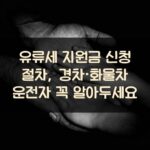 유류세 지원금 신청 절차, 경차·화물차 운전자 꼭 알아두세요